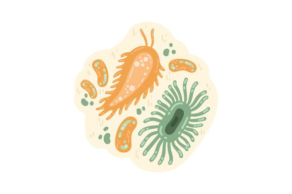 Germs and Viruses: A Designer’s Practical Review
